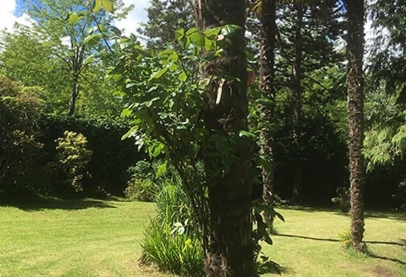 펜션 La Maison Chicorée