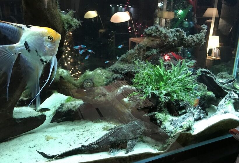 פנסיון Les Crinieres En Brie