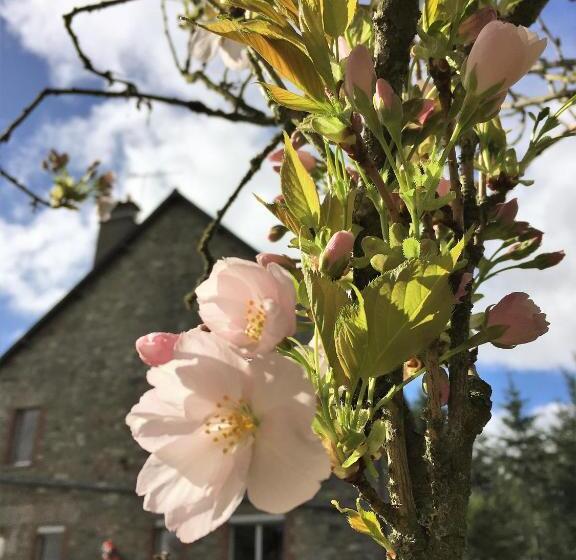 펜션 Les Voisins De L Illet