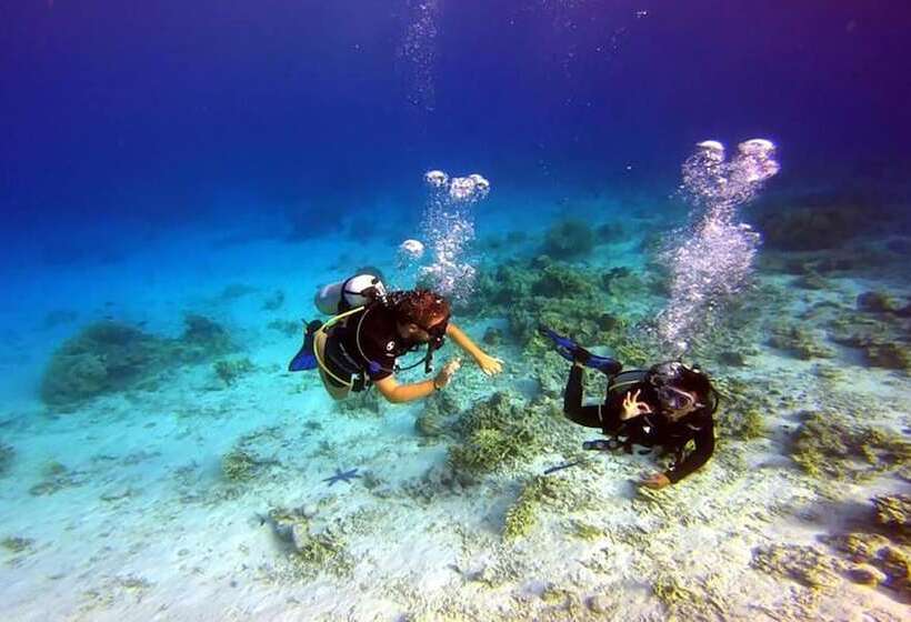 بنسيون Maleo Moyo Seaside Resort