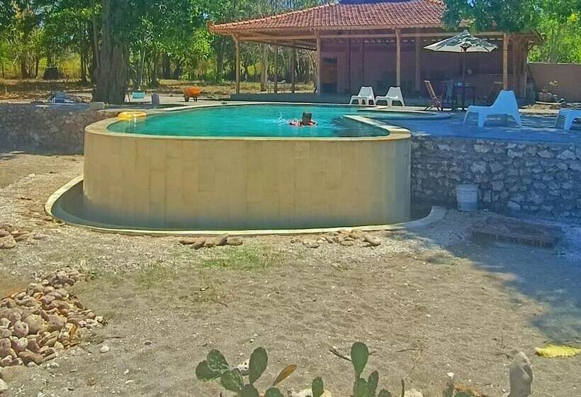 פנסיון Maleo Moyo Seaside Resort