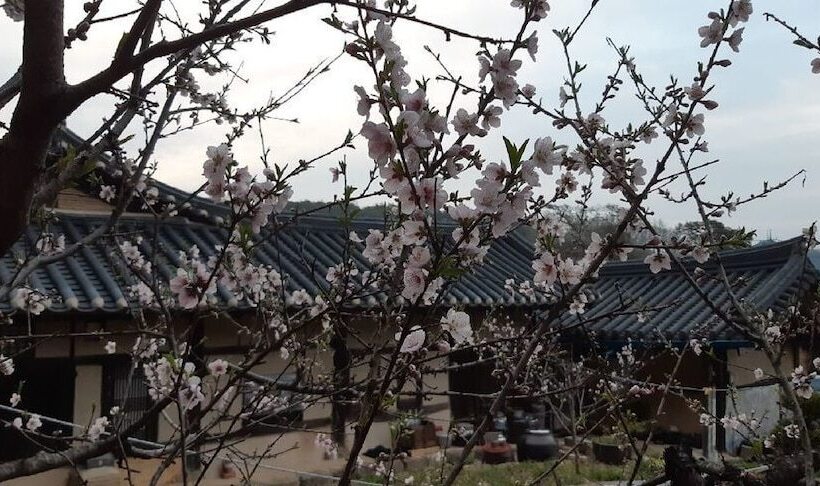 膳宿费 Manhoe Gotaek