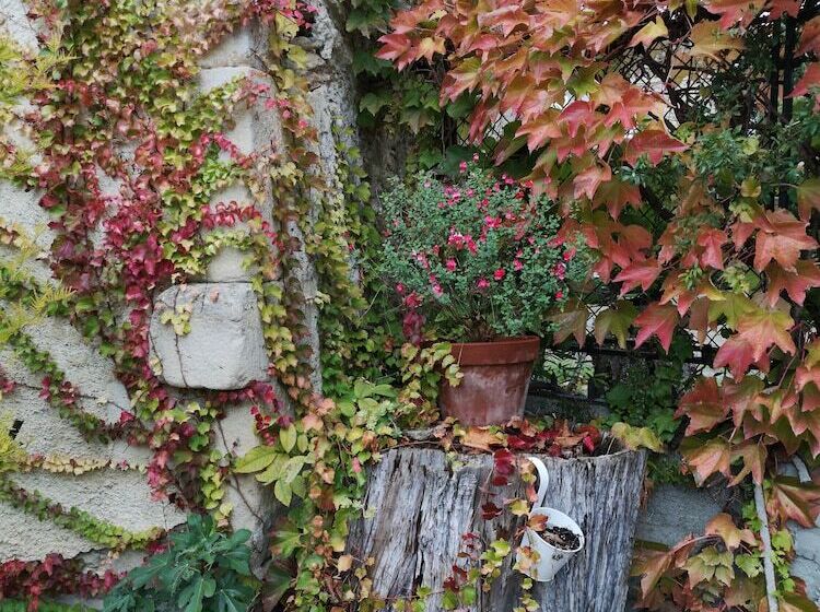 펜션 Mon Petit Soulié