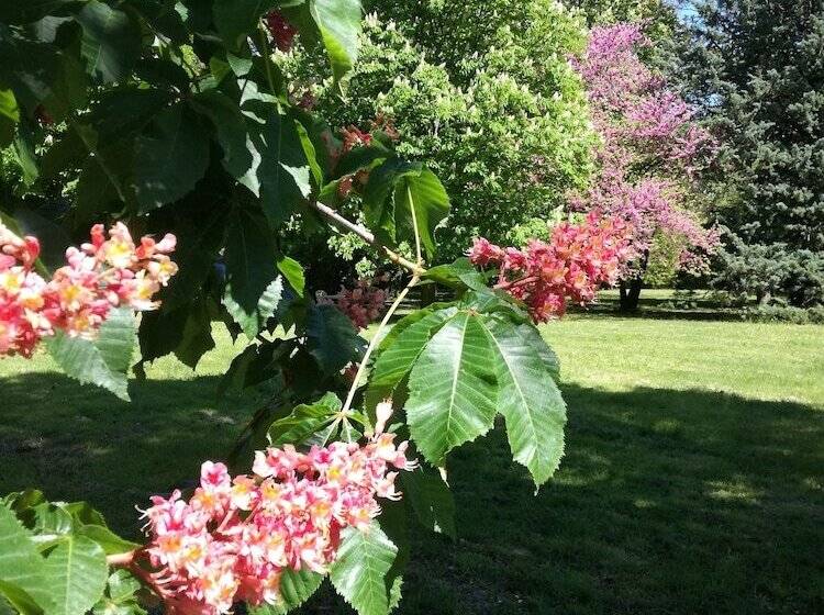 펜션 Mon Petit Soulié