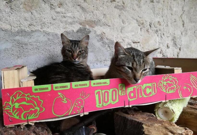 펜션 Mon Petit Soulié