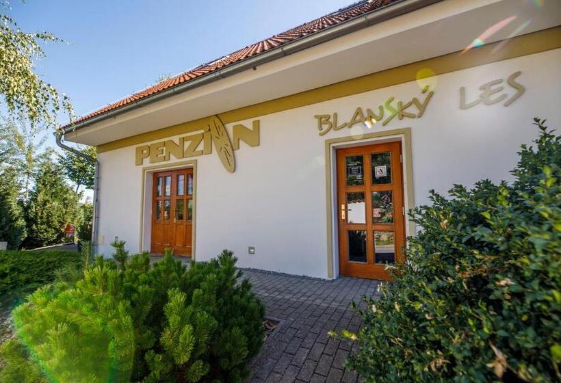 ペンション Penzion Blanský Les