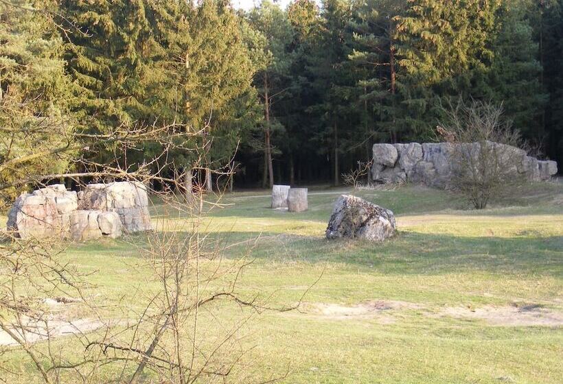 پانسیون Rafinad