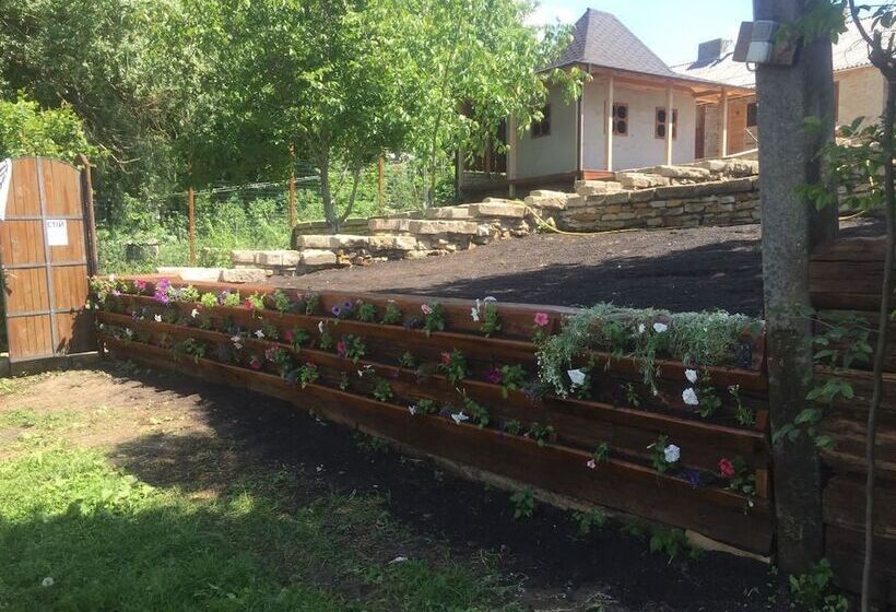 پانسیون Rafinad