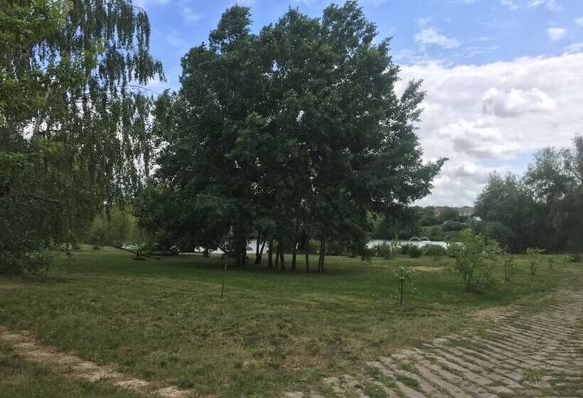 پانسیون Rafinad