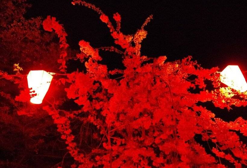 פנסיון Resort Garni Coru