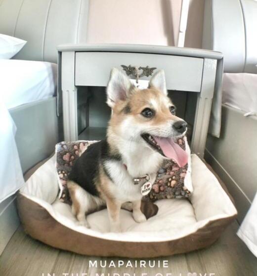 펜션 Sleep Soundly By The Sea