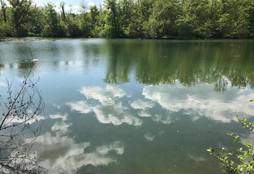 פנסיון Toute Une Histoire