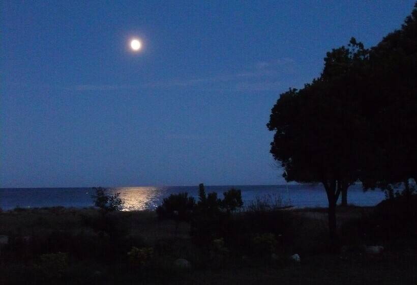 レジデンス Rico Plage