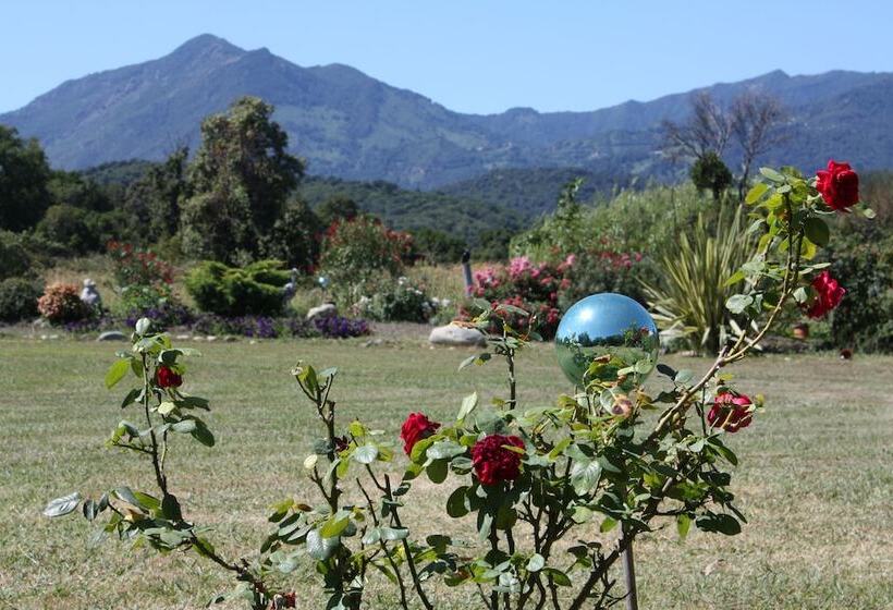 レジデンス Rico Plage