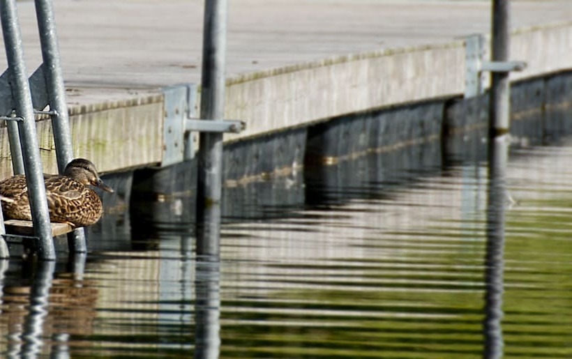 Rösjöbaden Camping &  Stugby