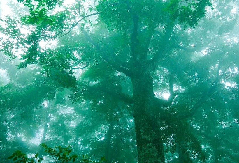 ريوكان Bunano Sato Shirakamikan