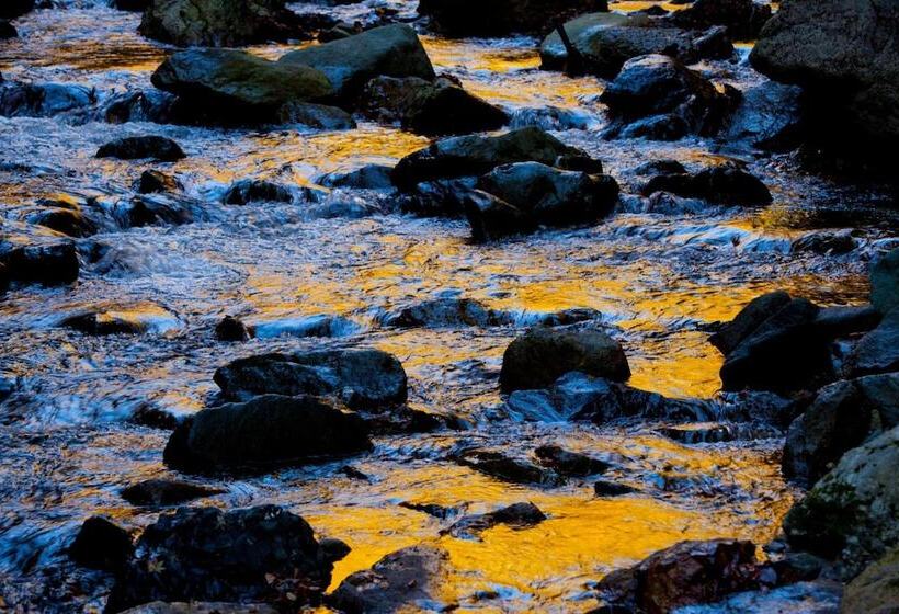 ריוקאן Bunano Sato Shirakamikan