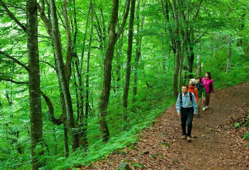 ריוקאן Bunano Sato Shirakamikan