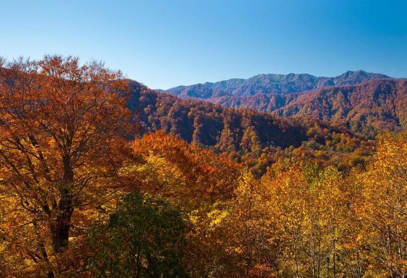 ריוקאן Bunano Sato Shirakamikan