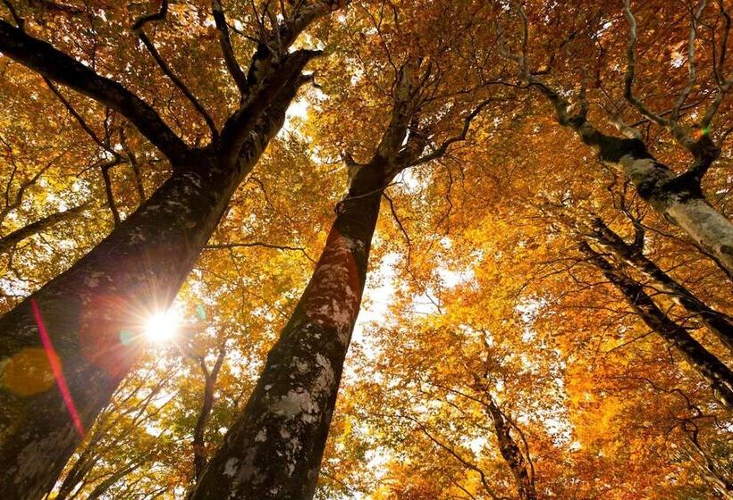 ריוקאן Bunano Sato Shirakamikan