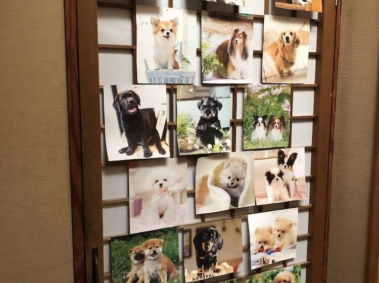 ריוקאן Stay With Pet Murasawa