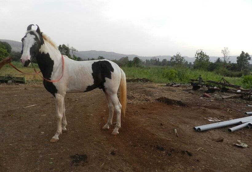 Sawai Mansing Hill Resort