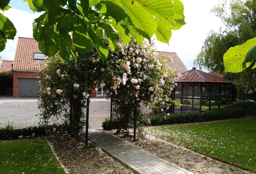 T Hooghe Licht Bed & Breakfast