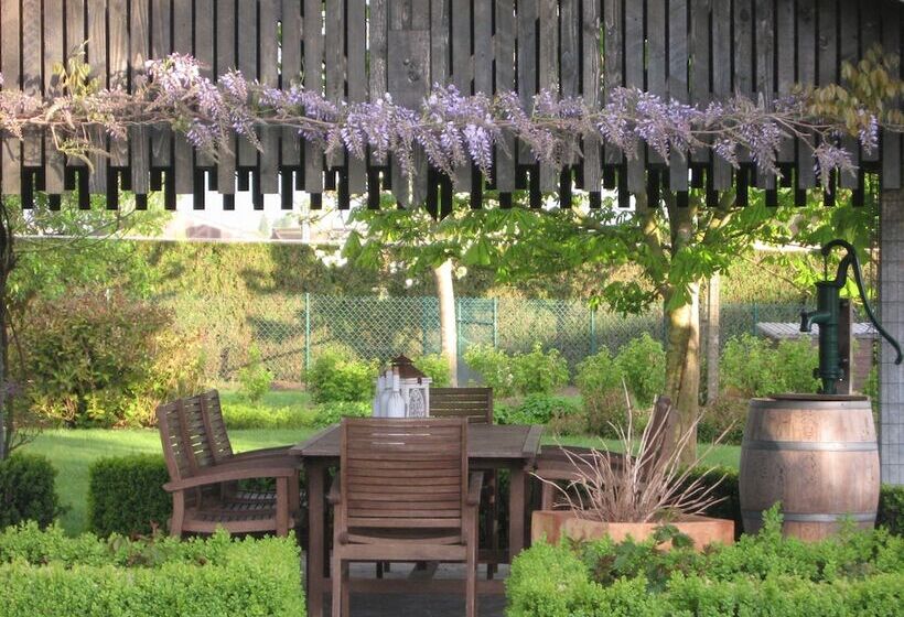 T Hooghe Licht Bed & Breakfast