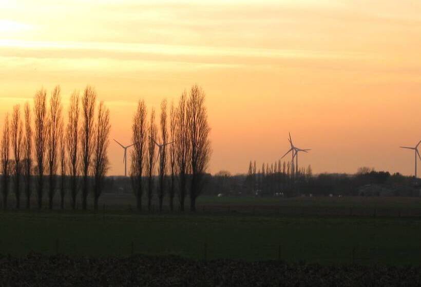 T Hooghe Licht Bed & Breakfast