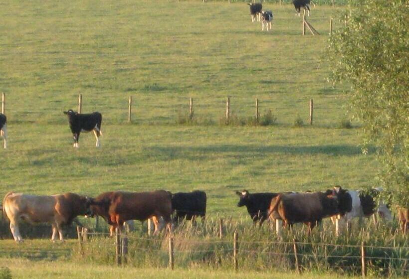 T Hooghe Licht Bed & Breakfast