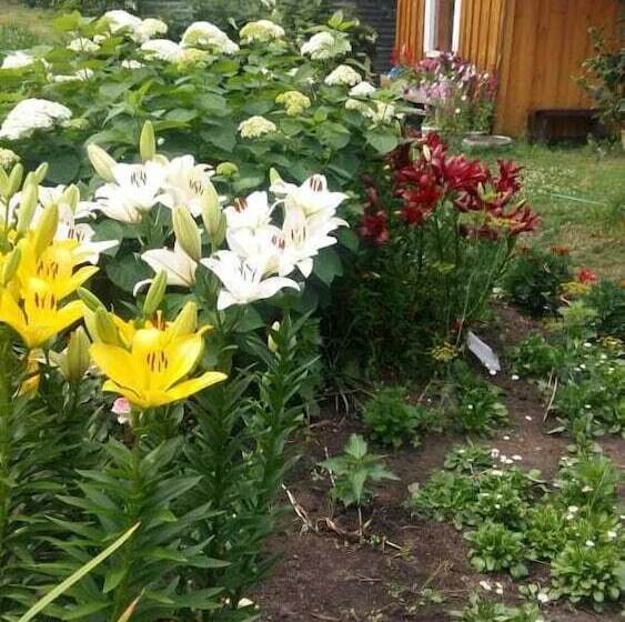 Tur Otel Chemal Hostel