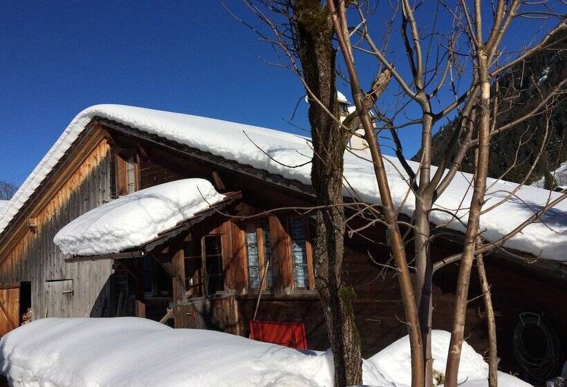 300 Year Old Chalet Interlaken