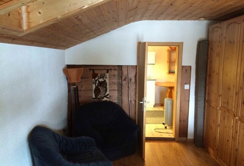 300 Year Old Chalet Interlaken