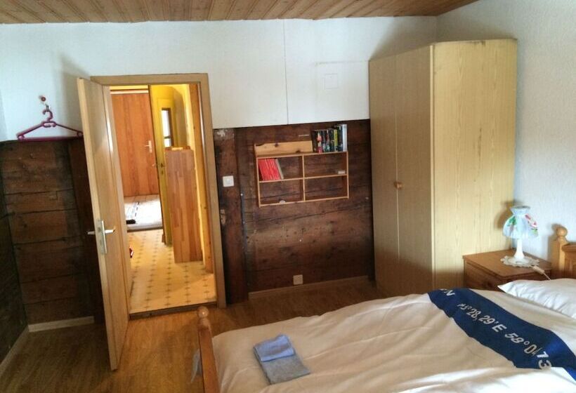 300 Year Old Chalet Interlaken