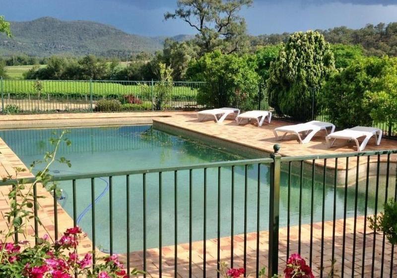 Ascella Organic Wine