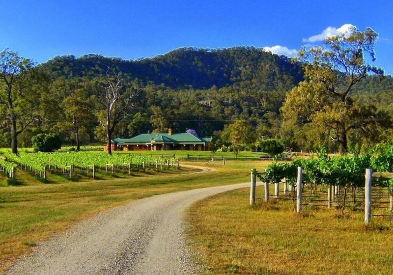 Ascella Organic Wine