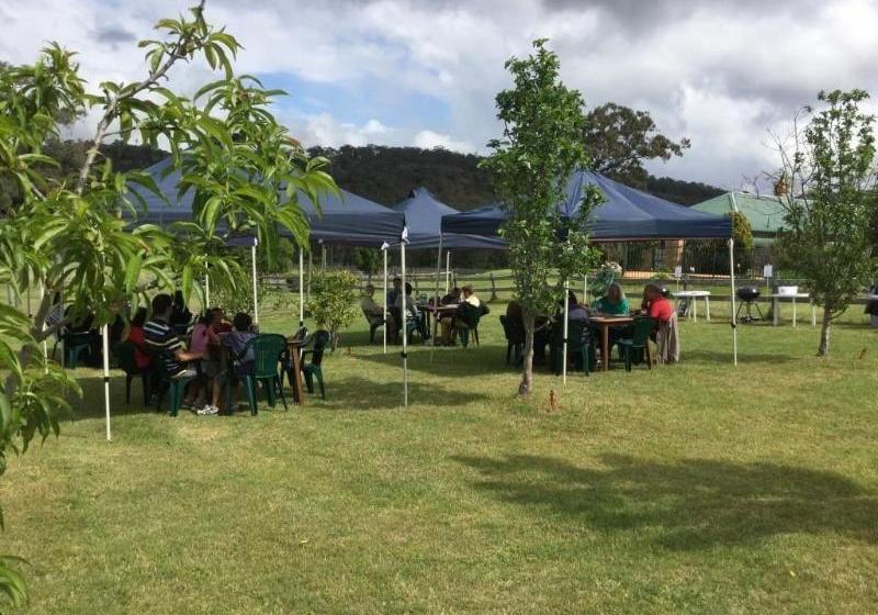 Ascella Organic Wine