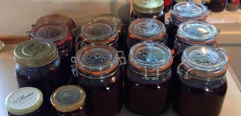 צימר Bjørnegården Land