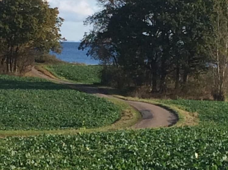 צימר Bjørnegården Land