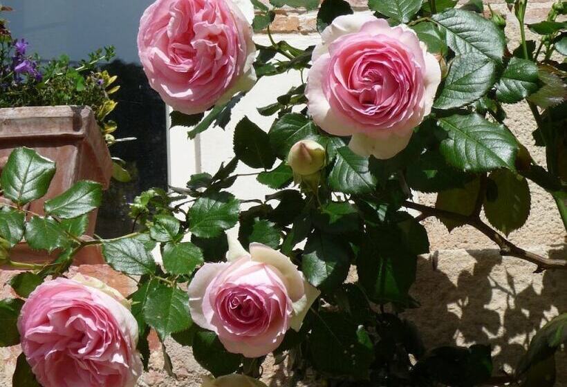 ベッドアンドブレックファースト Chambre D Hôte Domaine De La Maison Neuve