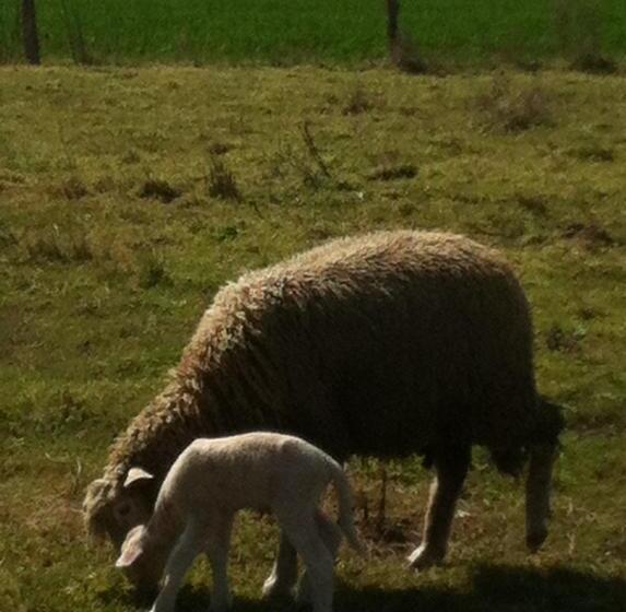 Bed and Breakfast Chambres D Hôtes Du Clos Semper Felix