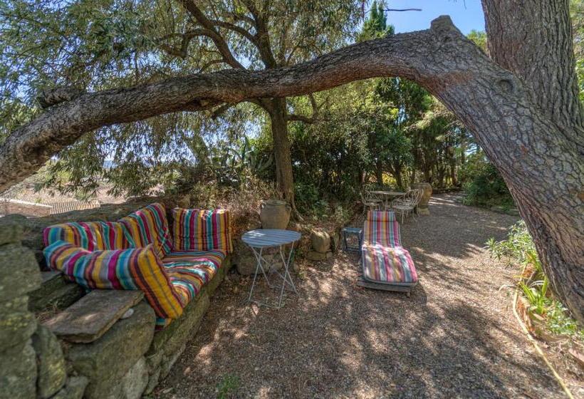 ベッドアンドブレックファースト Château De Puichéric