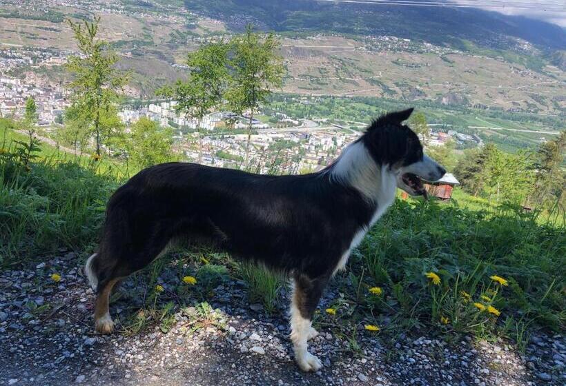 ベッドアンドブレックファースト Domaine Bellevie Bnb