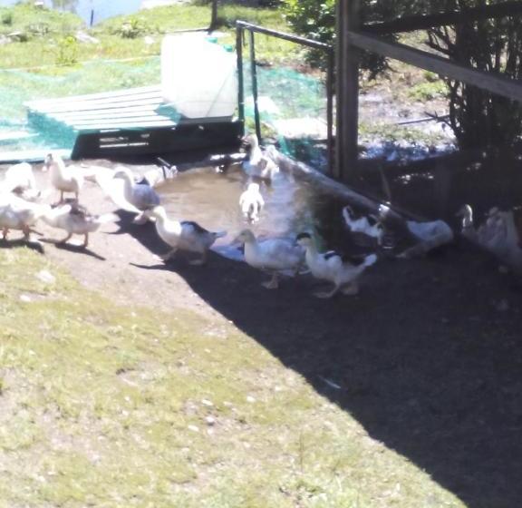 مبيت وإفطار Ferme Auberge à La Colline