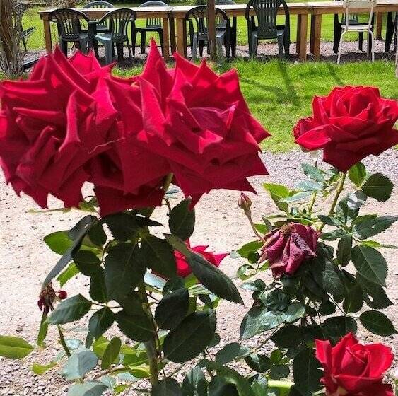 ベッドアンドブレックファースト Le Moulin De Douzy