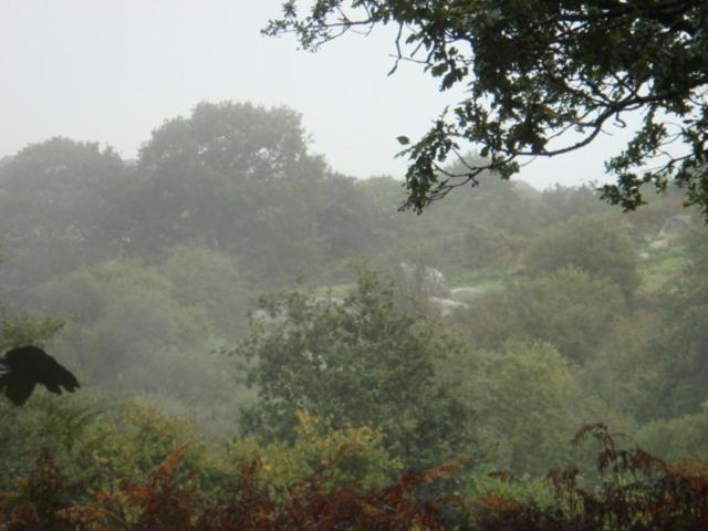 مبيت وإفطار Ty Gwennili