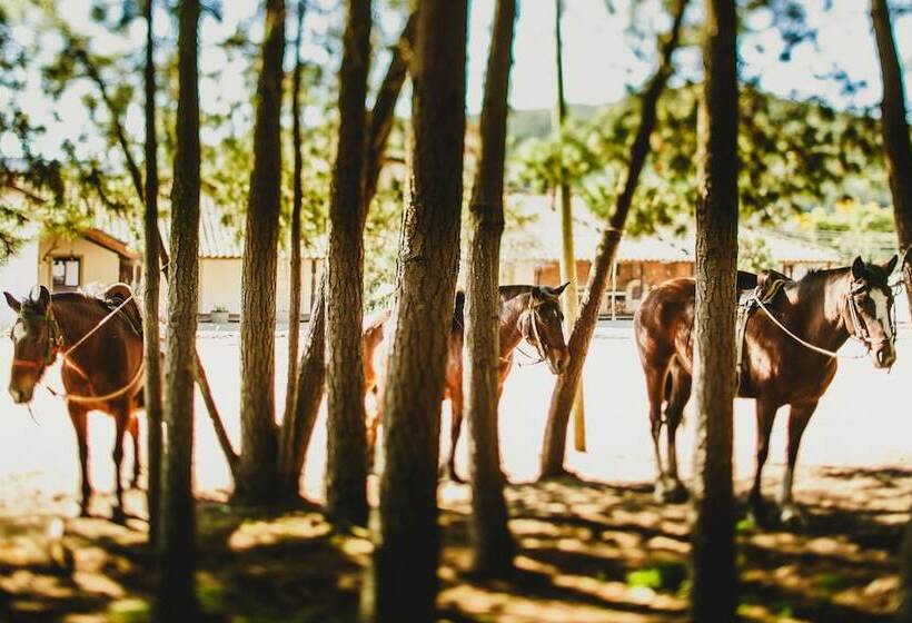 Casa Bouchon Hotel Boutique