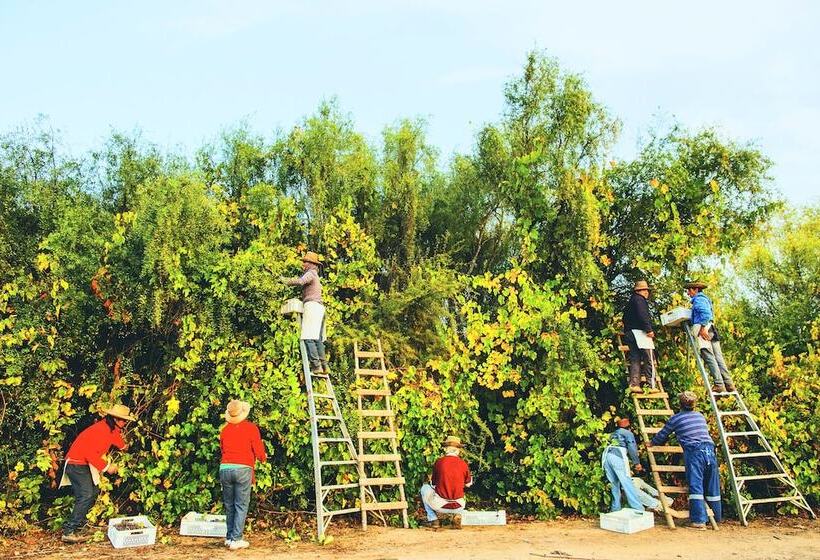Casa Bouchon Hotel Boutique