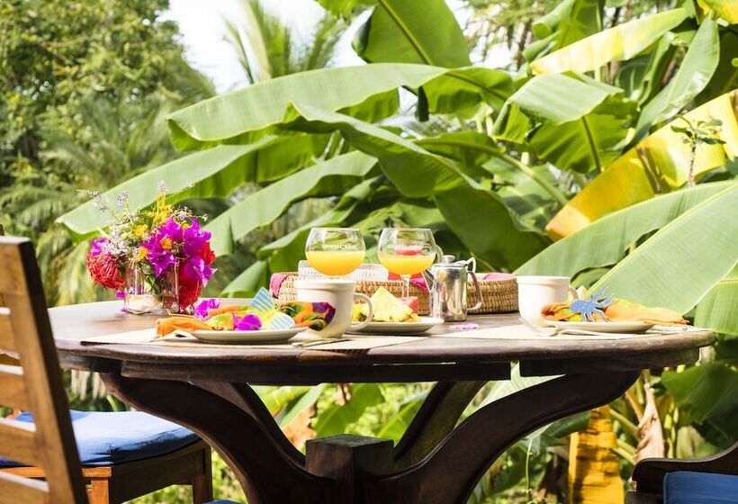 فندق فئة نجمة واحدة Cristal Azul