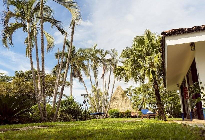 فندق فئة نجمة واحدة Cristal Azul